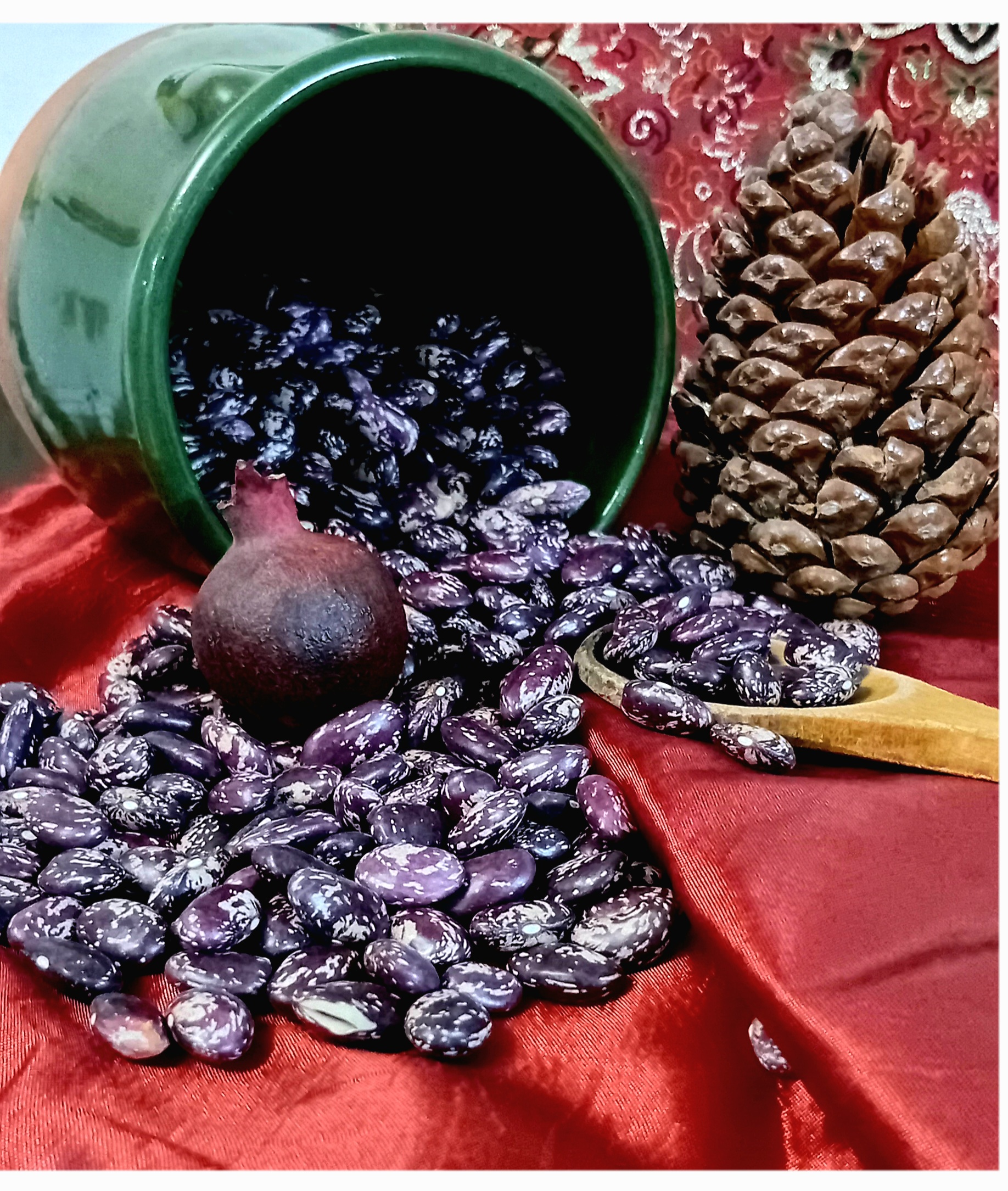 فروش لوبیا چیتی