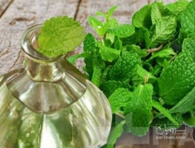 فروش عرق نعناع
