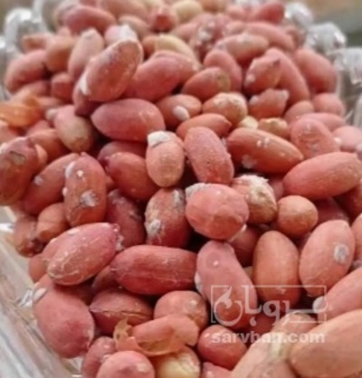 بادام زمینی