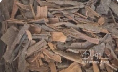 فروش چوب دارچین