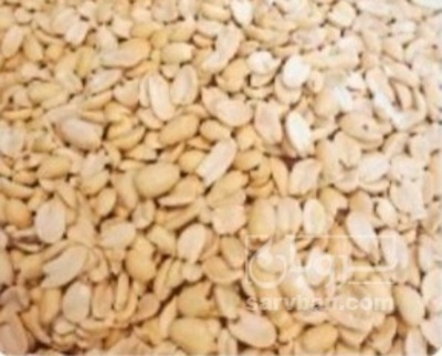 فروش بادام زمینی