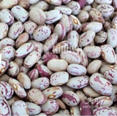 فروش لوبیا چیتی