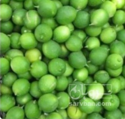 فروش لیمو ترش