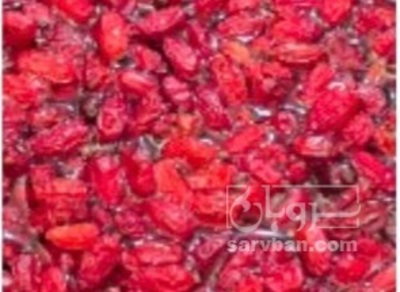 فروش زرشک