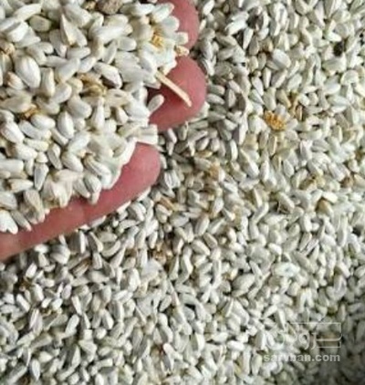 فروش تخم گلرنگ