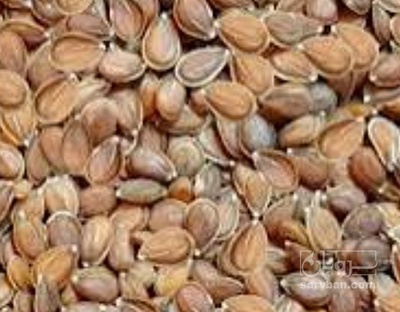 فروش قدومه (گیاه‌ دارویی)