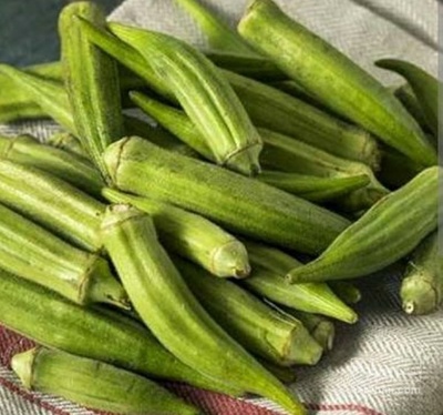 فروش بامیه
