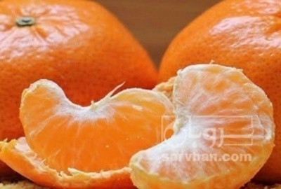 فروش نارنگی