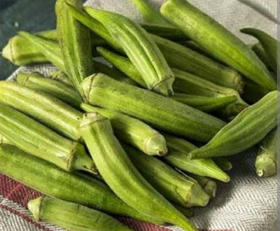 فروش بامیه
