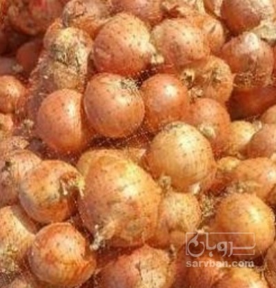 فروش پیاز