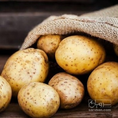 فروش سیب زمینی