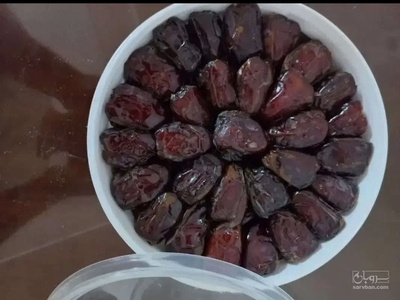 فروش خرما