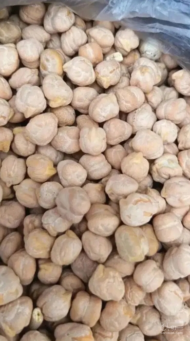 فروش نخود
