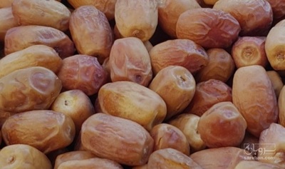 فروش خرما