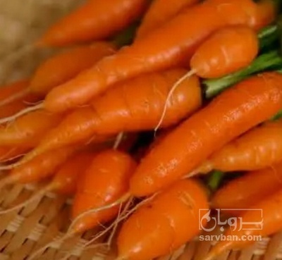 فروش هویج