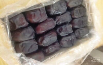 فروش خرما