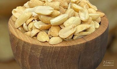 فروش بادام زمینی بو داده