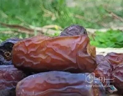 فروش خرما پیارم