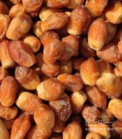 فروش خرما قصب