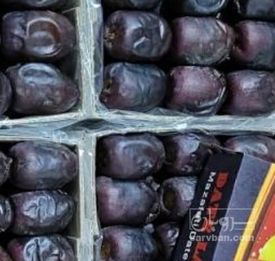 فروش خرما مضافتی