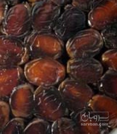 فروش خرما شاهانی