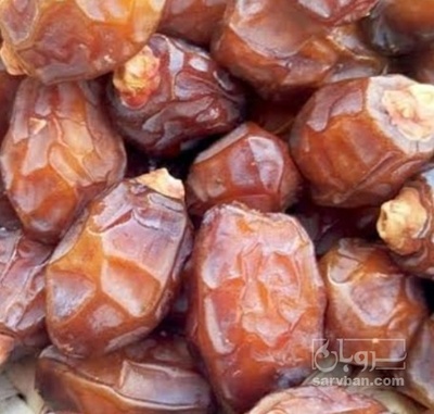 فروش خرما شاهانی