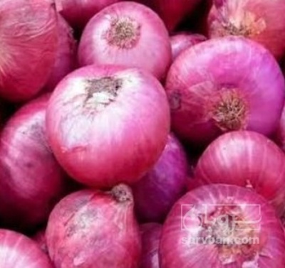 فروش پیاز