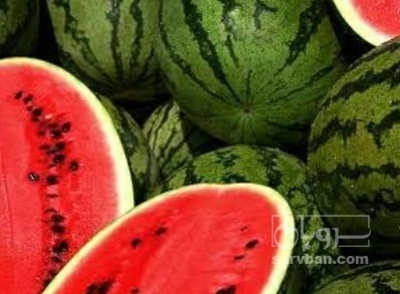 فروش هندوانه