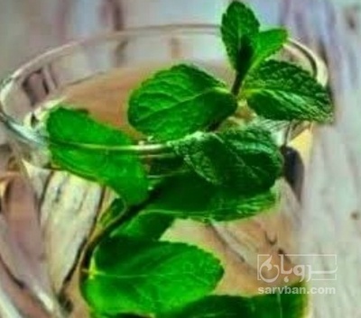 فروش عرق نعناع