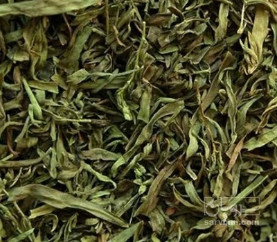 فروش ترخون (گیاه‌ دارویی)