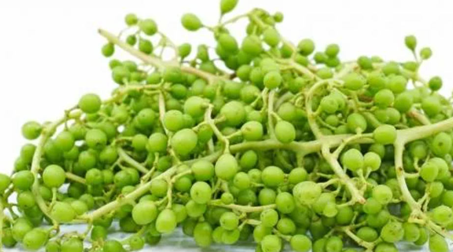 فروش غوره