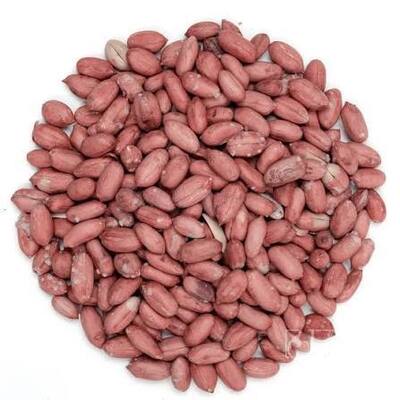 فروش بادام زمینی