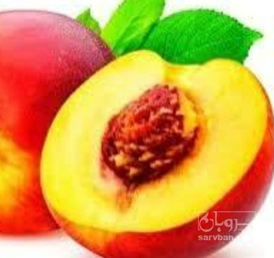 فروش شلیل