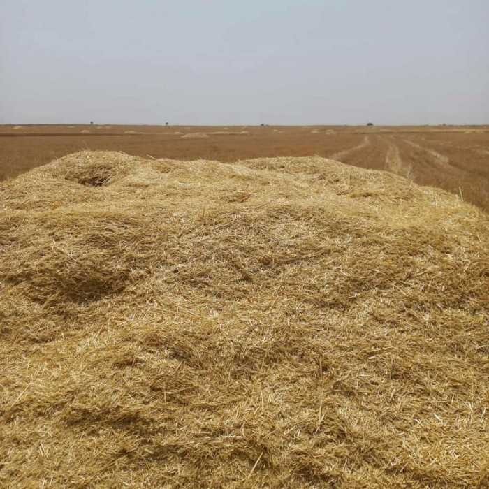 فروش کاه