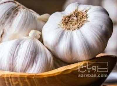 فروش سیر