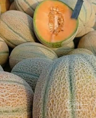 فروش طالبی جانا