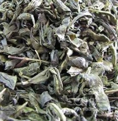 فروش چای سبز