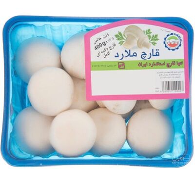 فروش قارچ دکمه ای