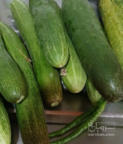 فروش خیار