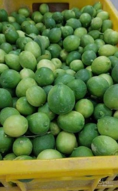 فروش لیمو ترش