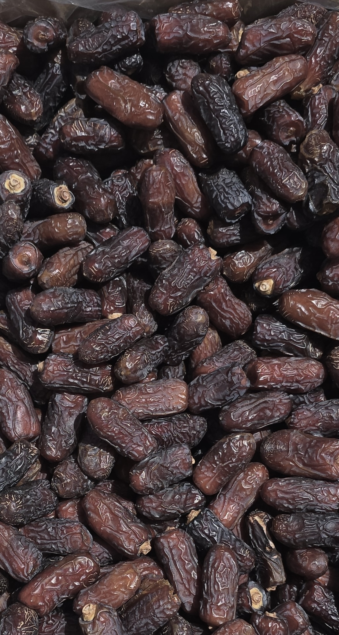 فروش خرما پیارم