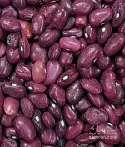 فروش لوبیا قرمز