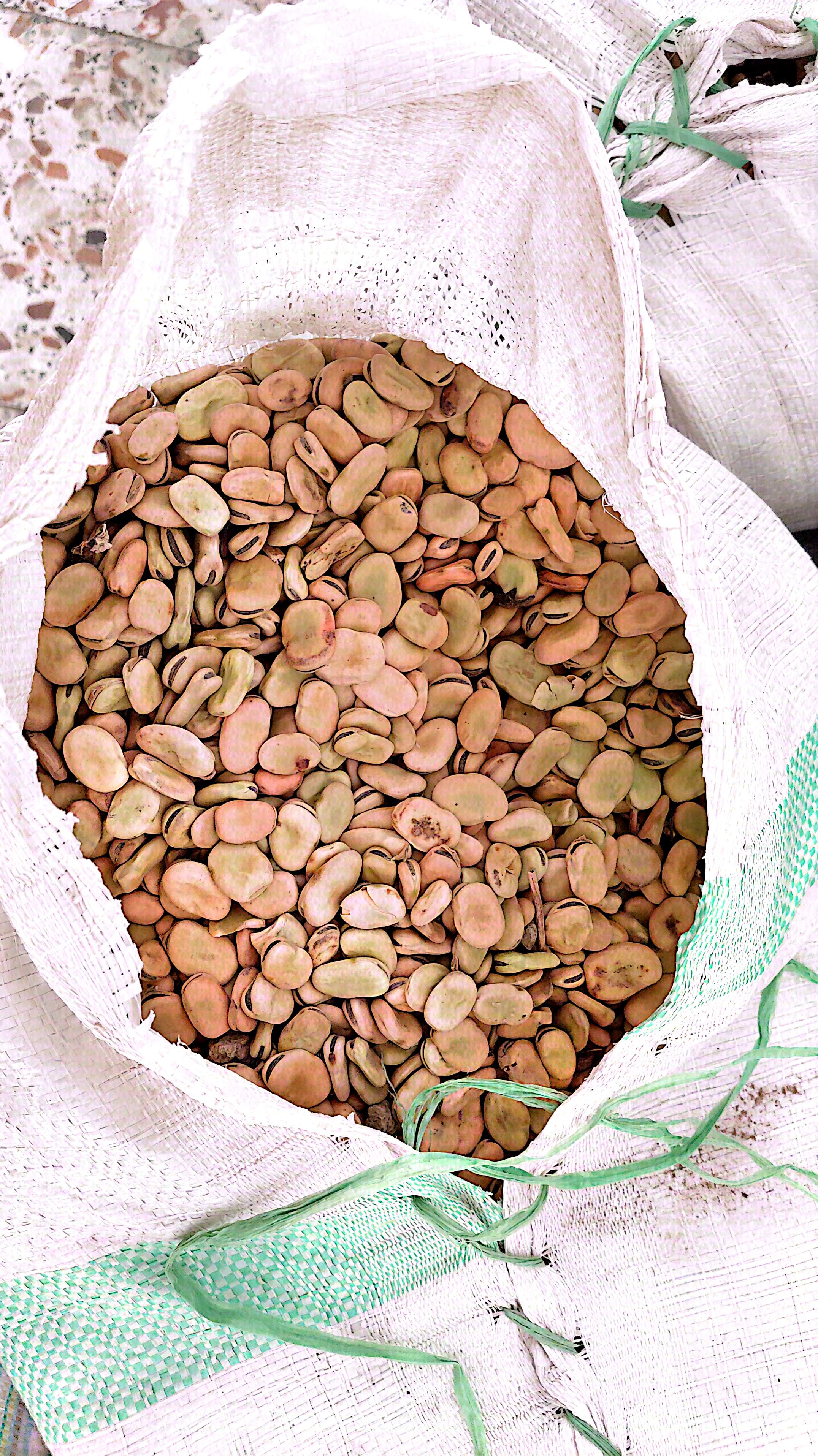 فروش باقلا خشک