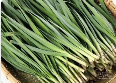 فروش تره