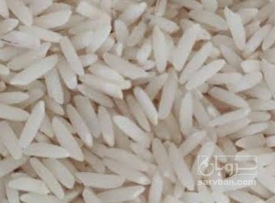 فروش برنج هاشمی