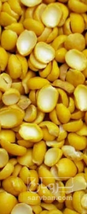 فروش نخود کفتری - لپه