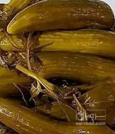 فروش خیار شور ویژه