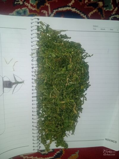 فروش برگ پیاز خشک شده