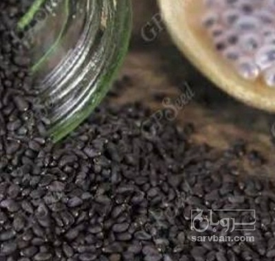 فروش تخم شربتی (گیاه‌ دارویی)