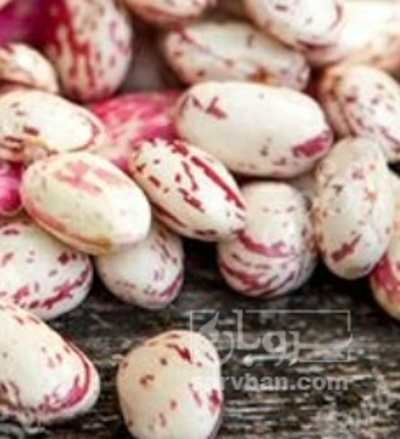 فروش لوبیا چیتی